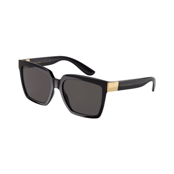 DG6165 Black / Dark Grey  Sunglasses