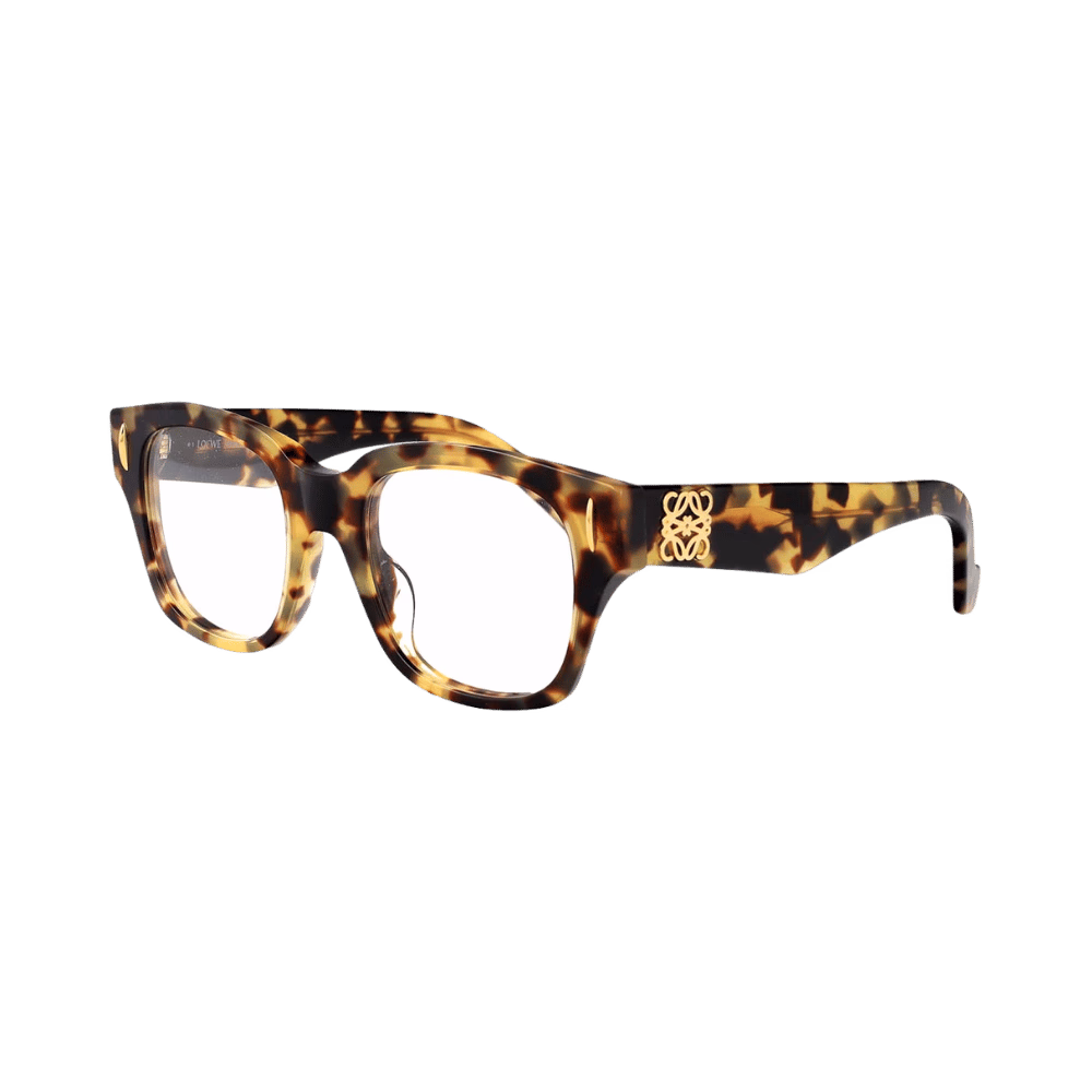Loewe LW50091F Brown Havana / Demo product photo 1