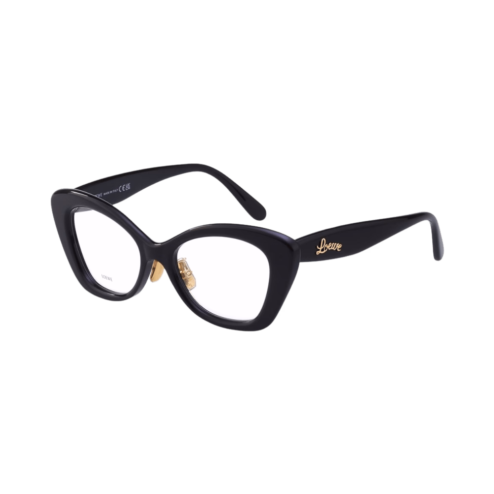 Loewe LW50067F Shiny Black / Demo product photo 1