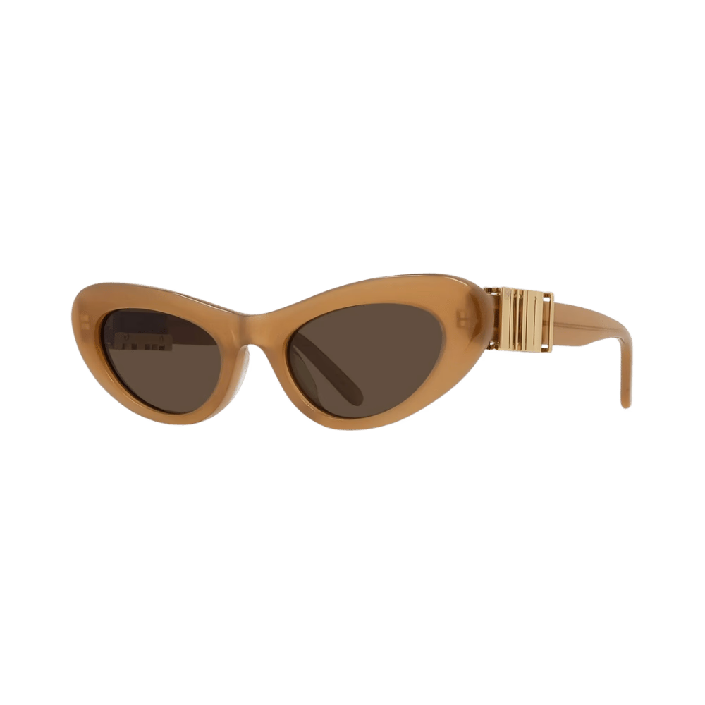 Loewe LW40156U Shiny Brown / Brown product photo 1