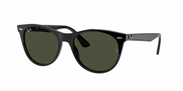 RB2185 WAYFARER II Black / Green Sunglasses