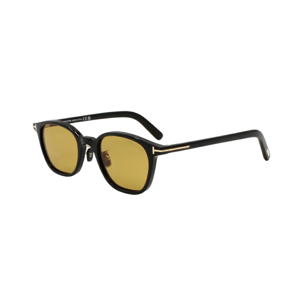 Tom Ford FT0978-D/S Eco Shiny Black / Light Brown Sunglasses product photo 1