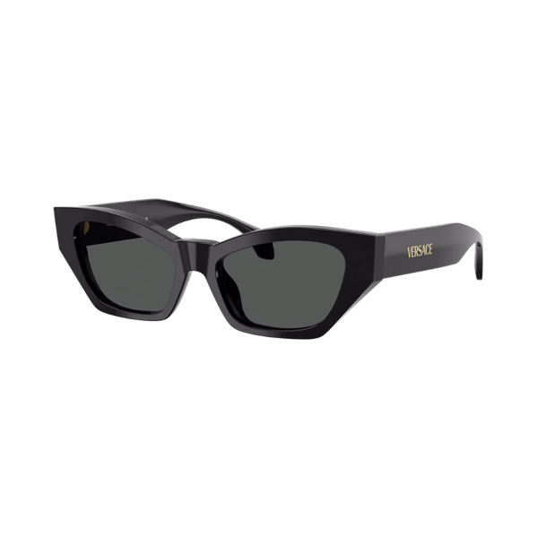 Versace VE4488U Shiny Black / Dark Grey Versace VE4488U Shiny Black / Dark Grey