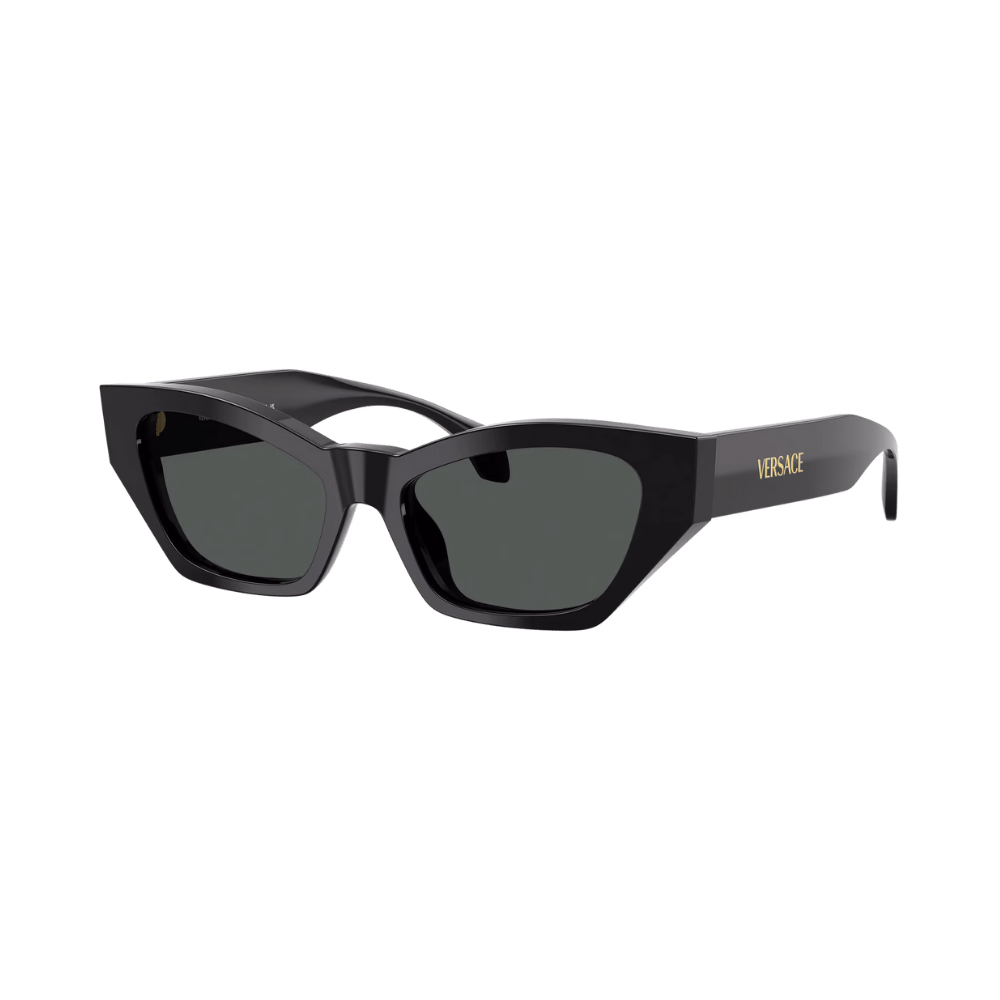 Versace VE4488U Shiny Black / Dark Grey product photo 1