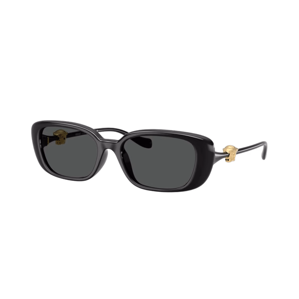 Versace VE4504D Black / Dark Grey Versace VE4504D Black / Dark Grey