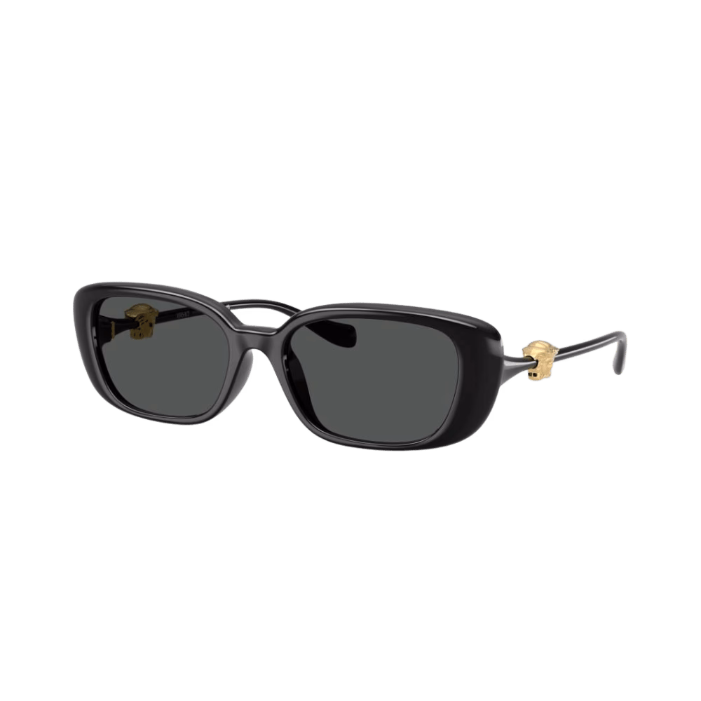 Versace VE4504D Black / Dark Grey product photo 1