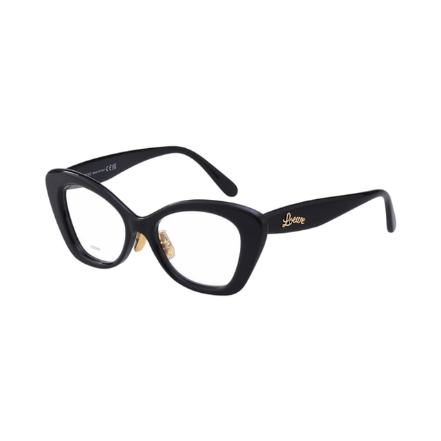 Loewe LW50067F Shiny Black / Demo product photo 1